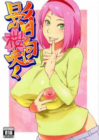  Hakihome-Hentai Manga-Kage Hinata ni Sakura Saku
