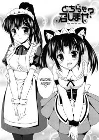  Hakihome-Hentai Manga-Which Would You Like?